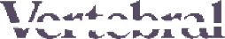 Vertebral